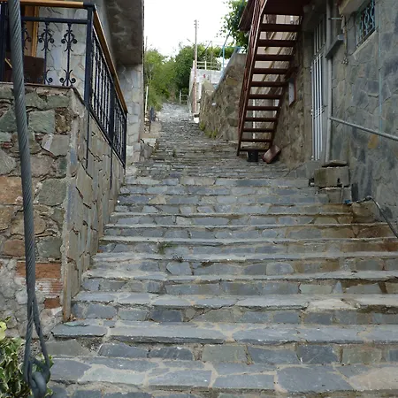 Mountain Rose Garden