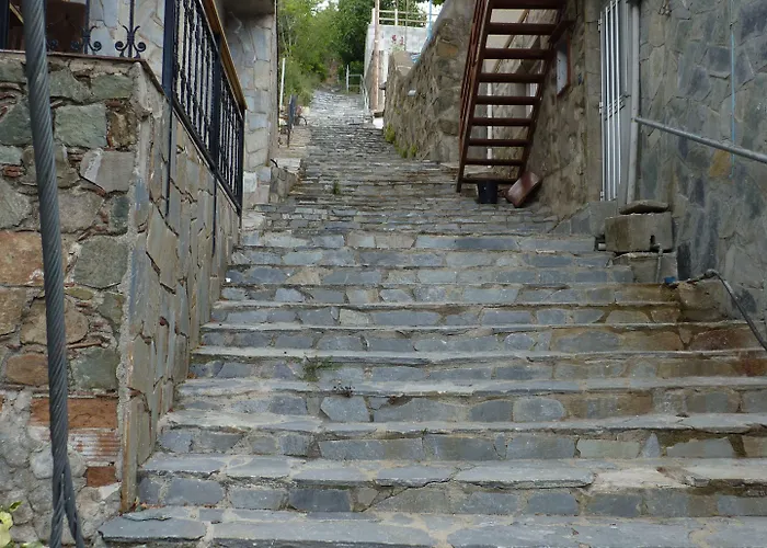 Mountain Rose Garden